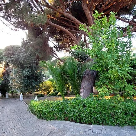 Casa Jolie Villa *